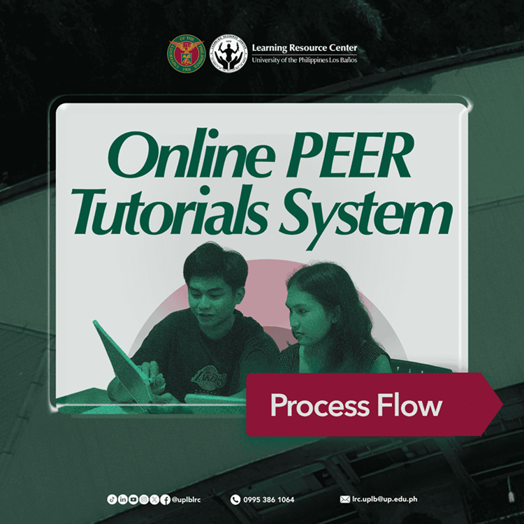 Process Flow 1