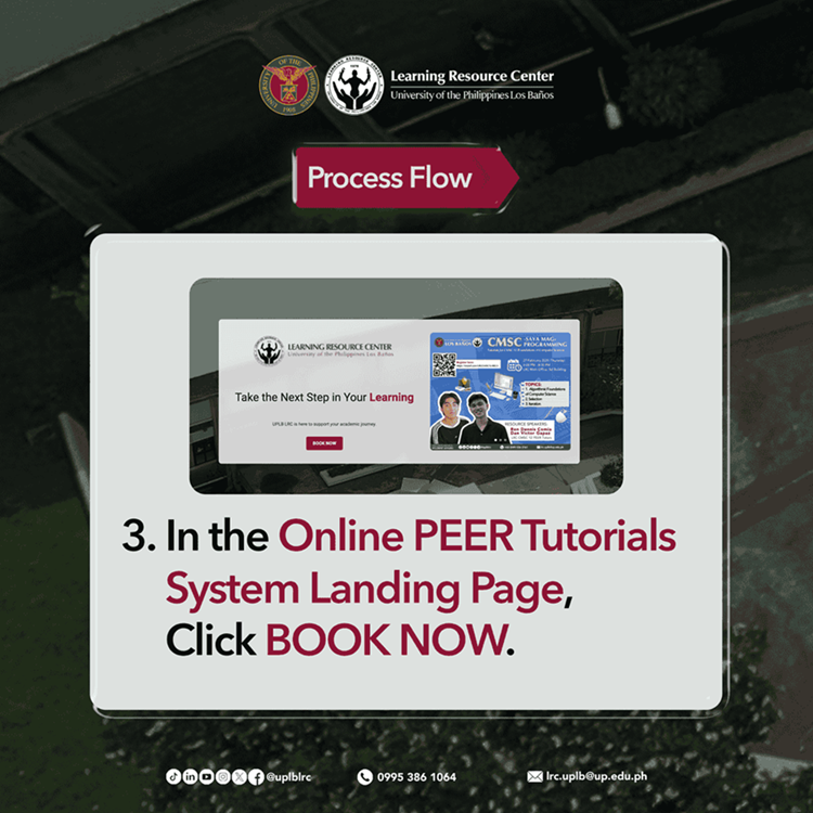 Process Flow 3