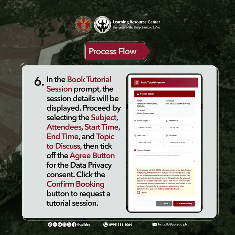 Process Flow 6